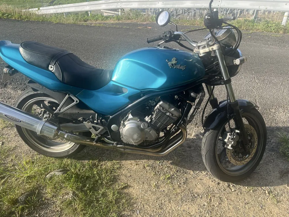 Kawasaki Balius 1992, фото 3