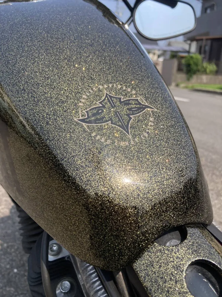 Harley-Davidson XL1200X 2013, фото 8