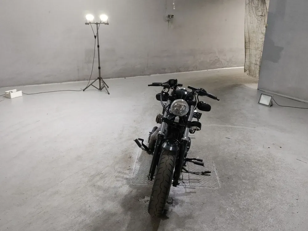 Harley-Davidson XL1200X 2015, чёрный, фото 3