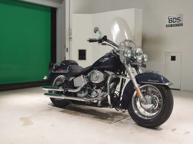 Harley-Davidson FLSTN1580 2007, navy blue, фото 3