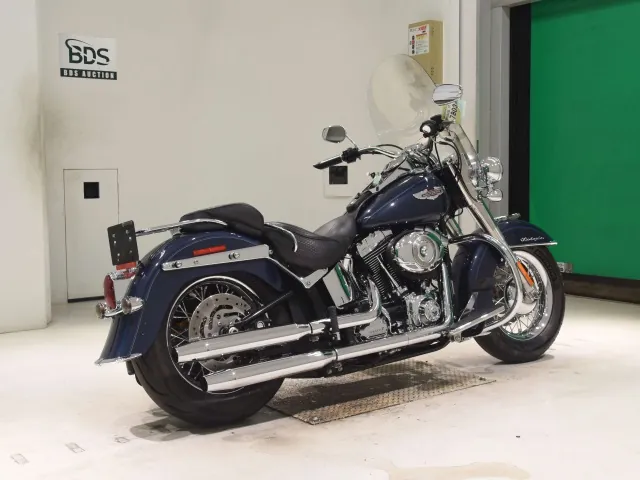 Harley-Davidson FLSTN1580 2007, navy blue, фото 5