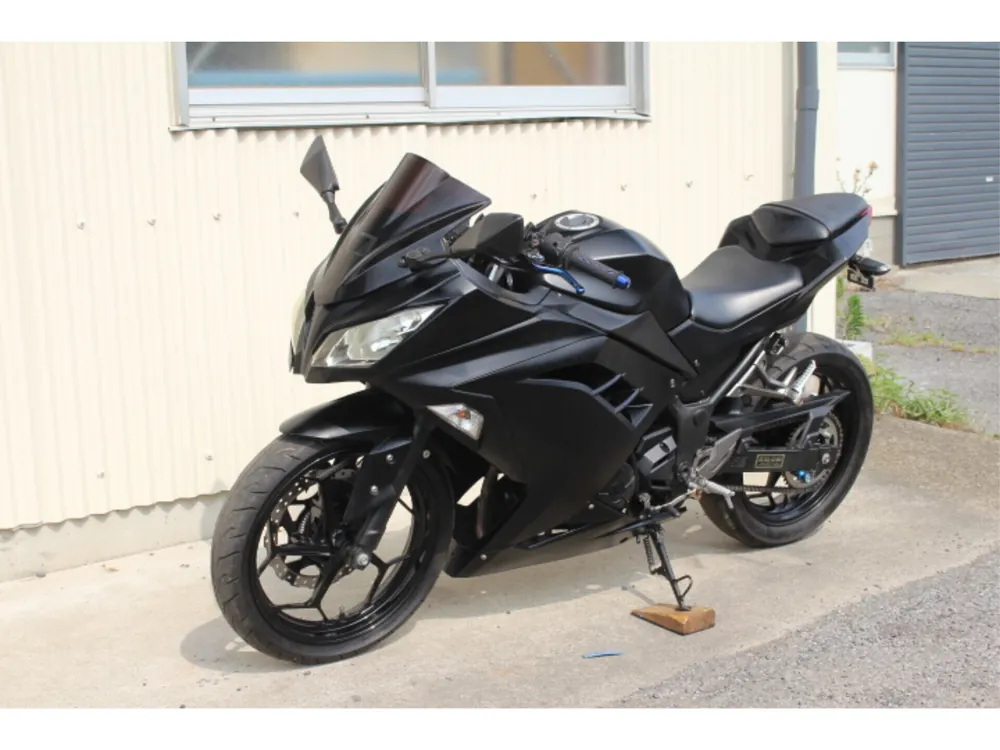 Kawasaki Ninja 250, maddo black, фото 2