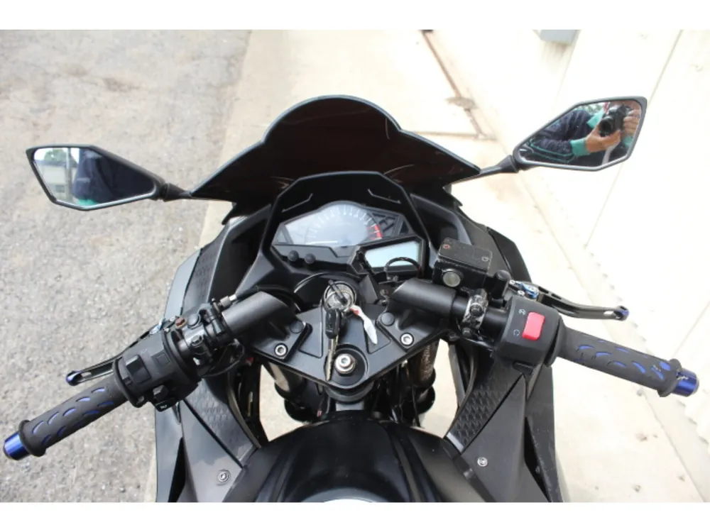 Kawasaki Ninja 250, maddo black, фото 3