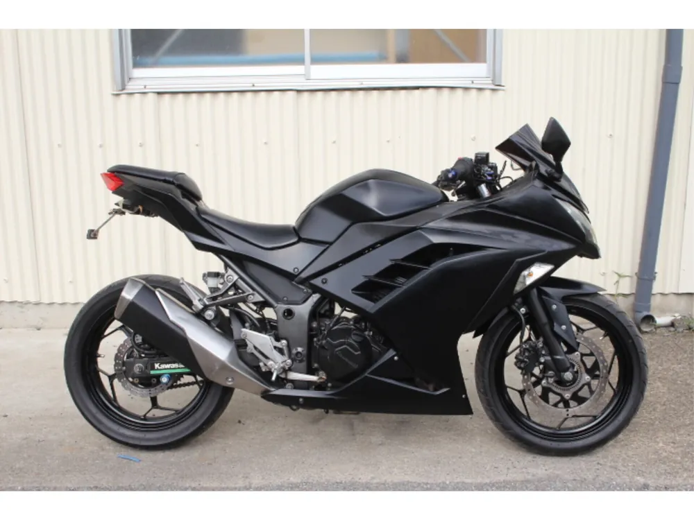 Kawasaki Ninja 250, maddo black, фото 5