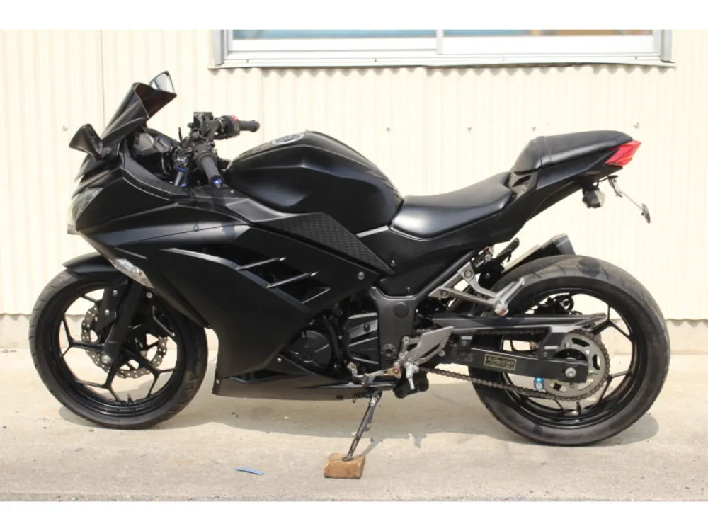 Kawasaki Ninja 250, maddo black, фото 6