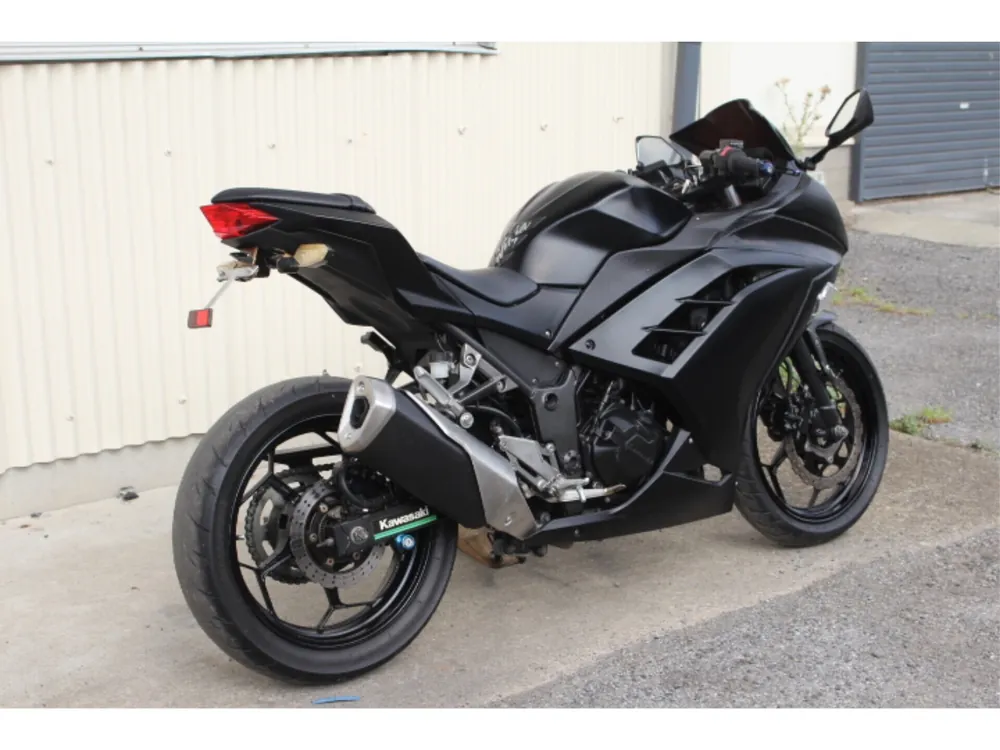 Kawasaki Ninja 250, maddo black, фото 9
