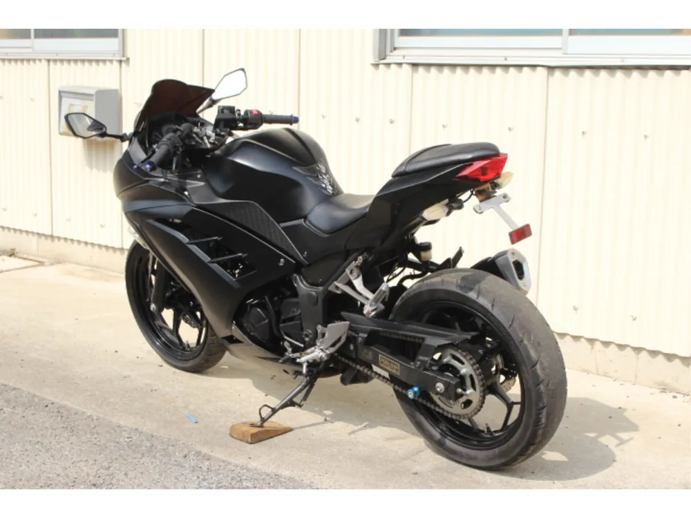 Kawasaki Ninja 250, maddo black, фото 10
