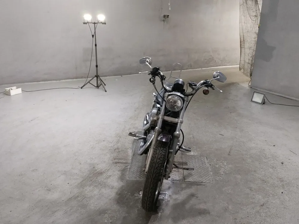 Harley-Davidson Sportster XL883L 2007, light brown, фото 3