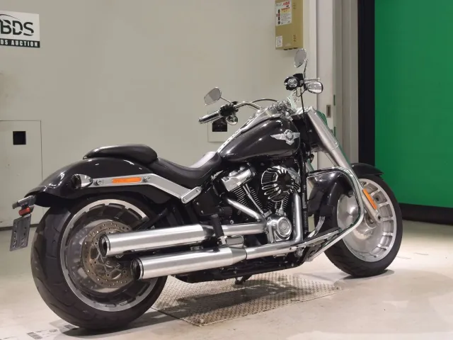Harley-Davidson FLFB1750 2017, gunmetal, фото 5