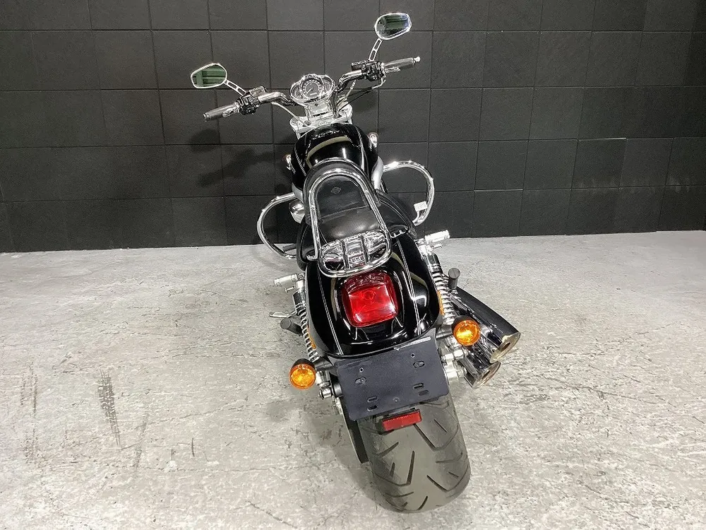 Harley-Davidson VRSCAW 2009, фото 9