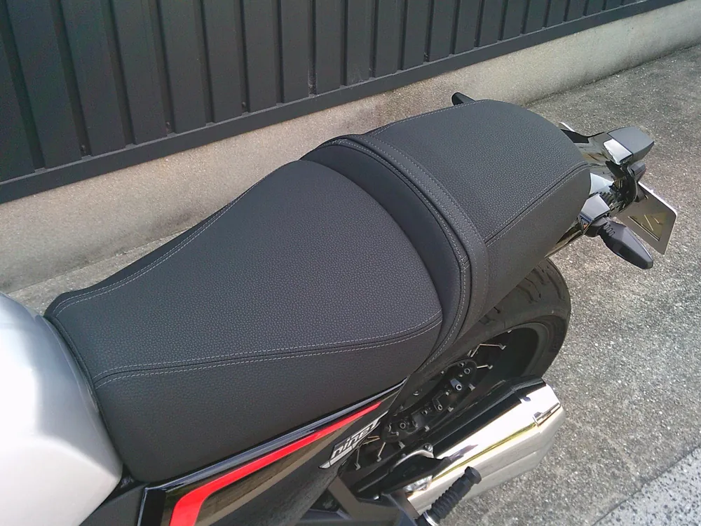 BMW R12 G|S 2026, aluminium, фото 10