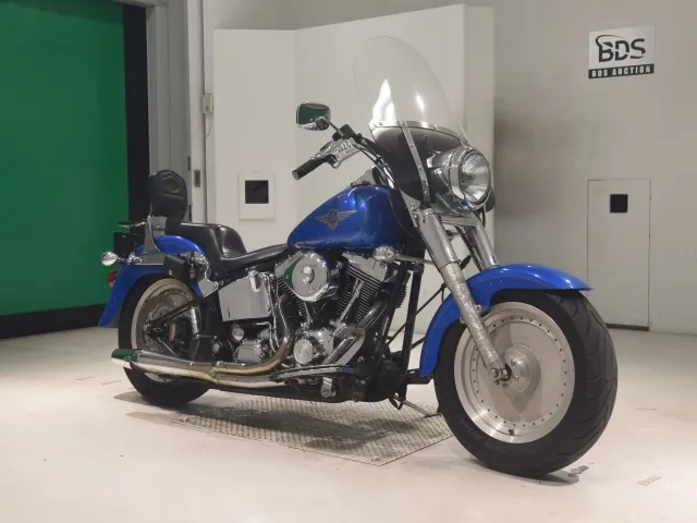 Harley-Davidson FLSTF 1450 2002, синий, фото 3
