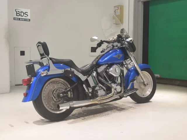 Harley-Davidson FLSTF 1450 2002, синий, фото 5