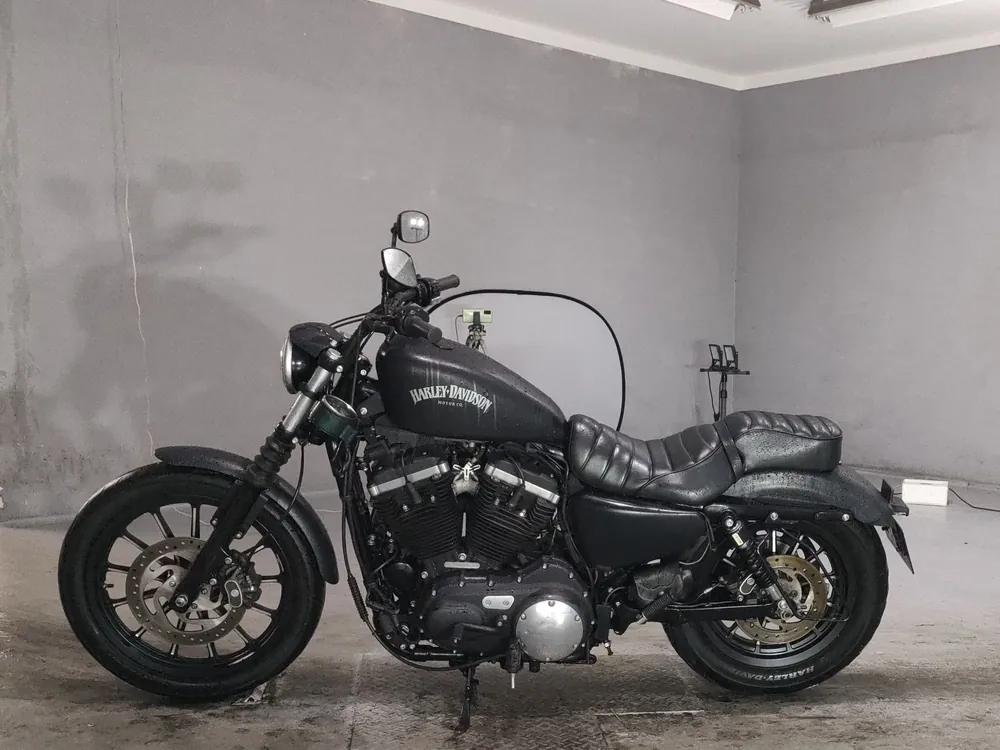 Harley-Davidson XL883N 2015, чёрный, фото 2