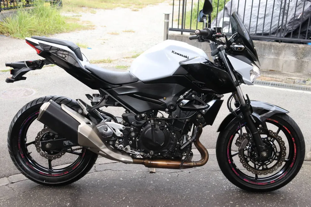 Kawasaki Z250 2019, фото 3