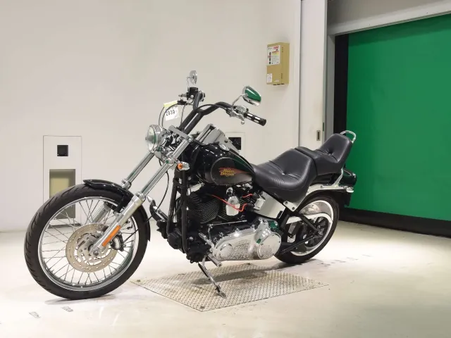 Harley-Davidson FXSTC1580 2009, чёрный, фото 4