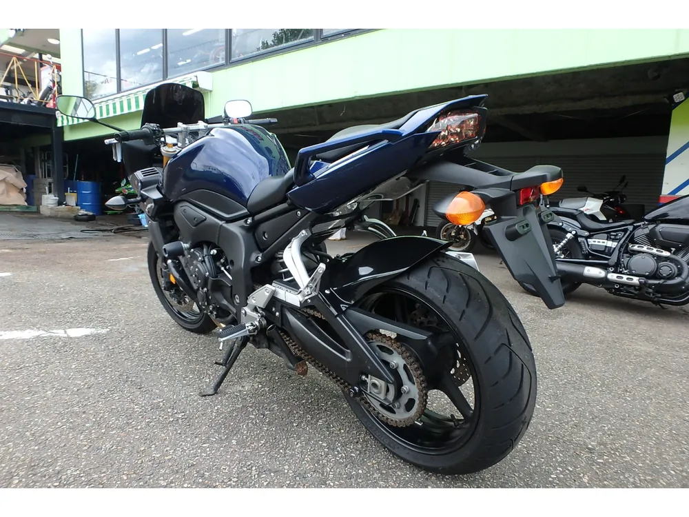 Yamaha FZ1 2007, синий, фото 12