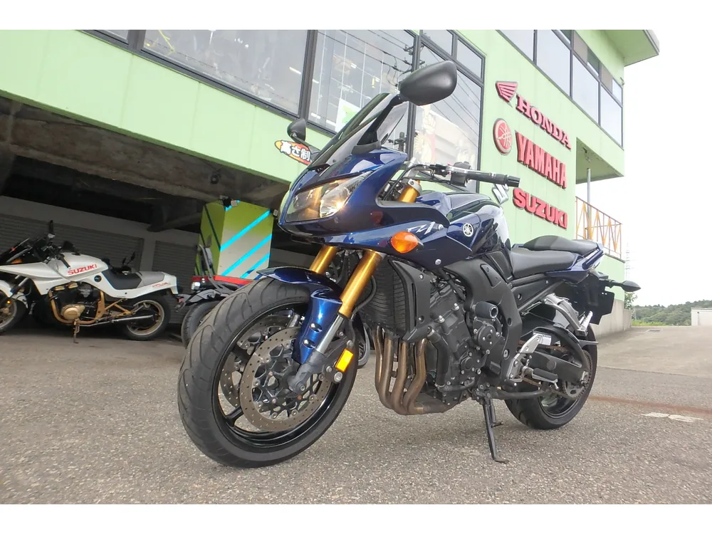 Yamaha FZ1 2007, синий, фото 16