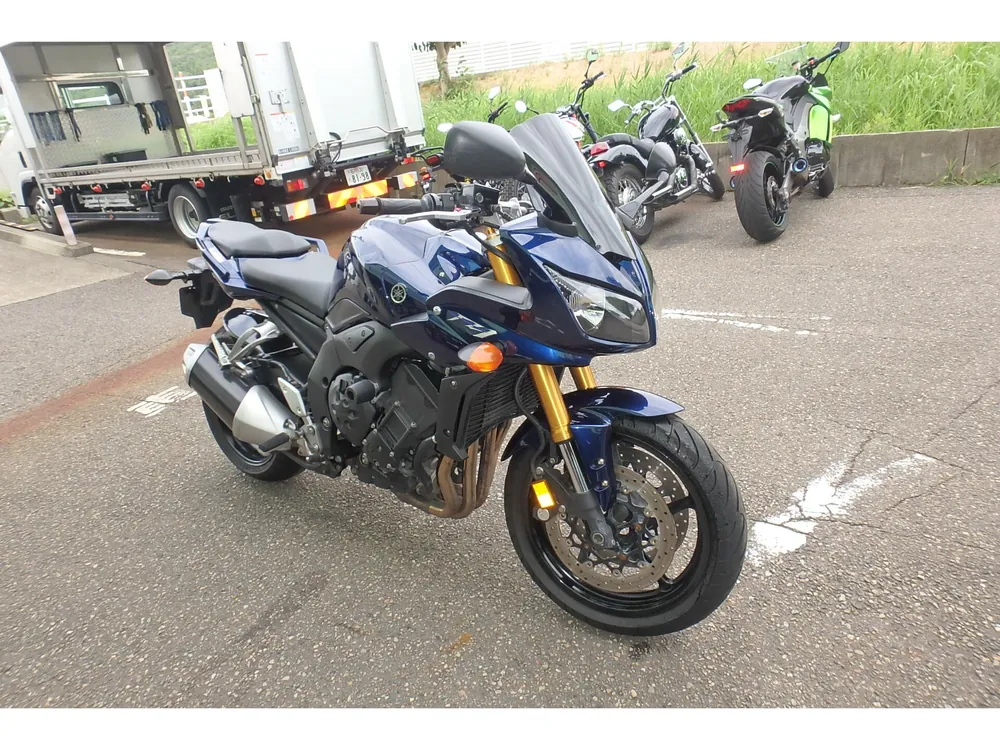 Yamaha FZ1 2007, синий, фото 3