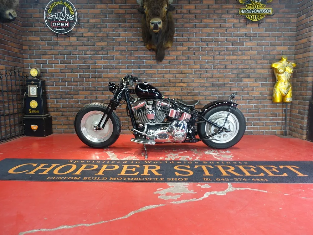 Harley-Davidson FLSTF 2005, фото 3