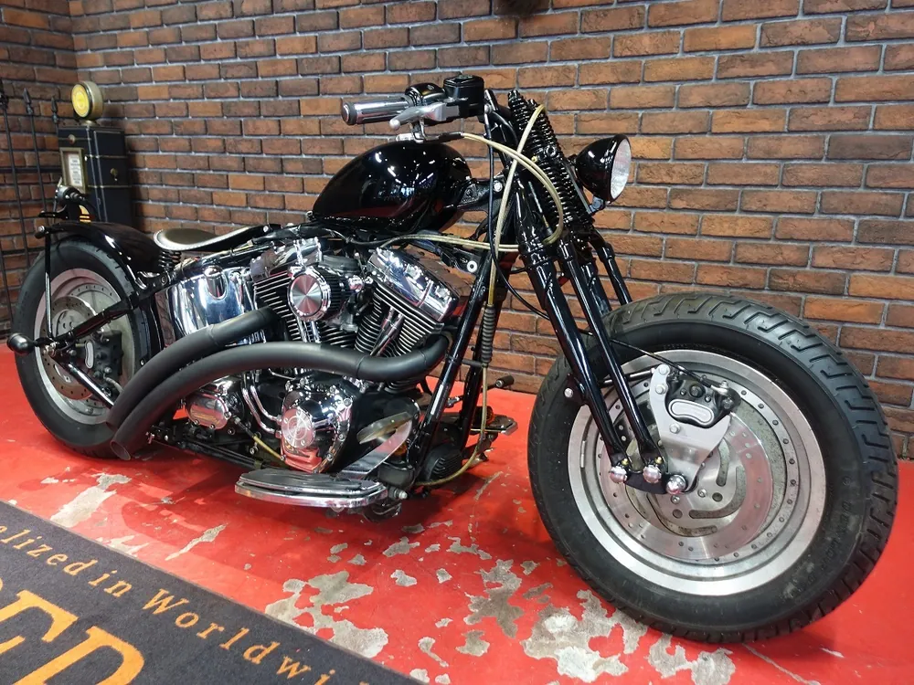 Harley-Davidson FLSTF 2005, фото 4