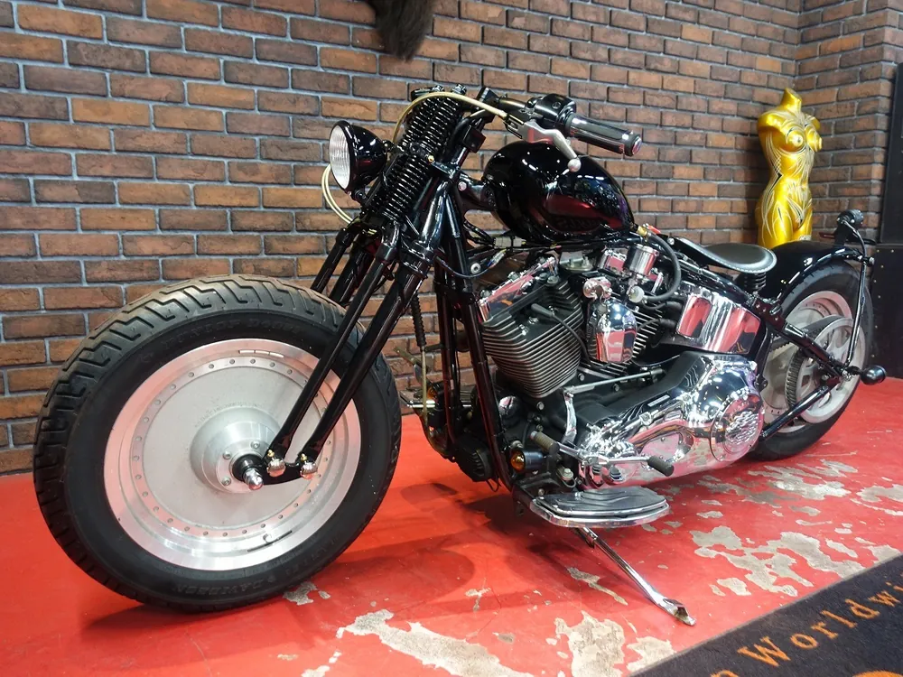 Harley-Davidson FLSTF 2005, фото 5