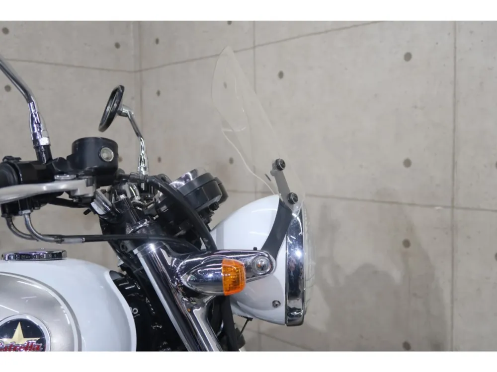 Kawasaki Estrella, white/silver, фото 14