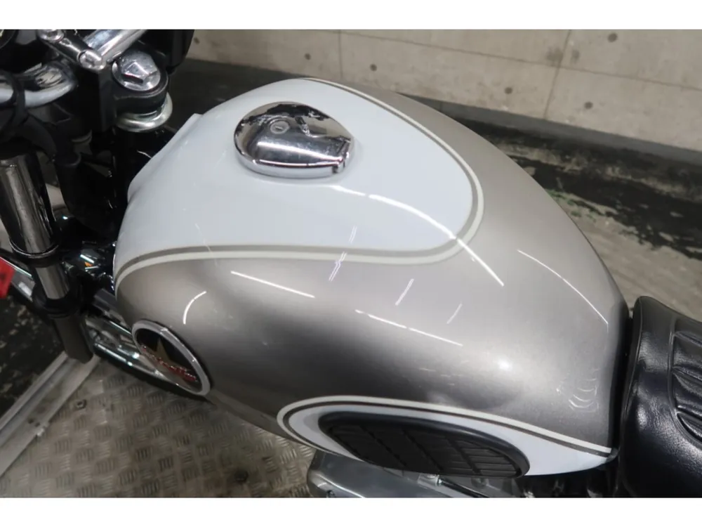 Kawasaki Estrella, white/silver, фото 10