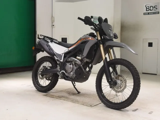 Honda CRF250 Rally, серый, фото 3