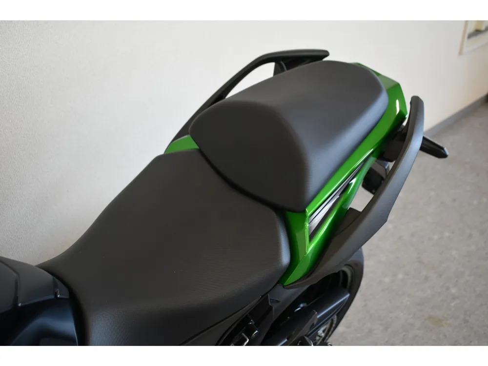 Kawasaki NINJA1000SX 2023, black/green, фото 15