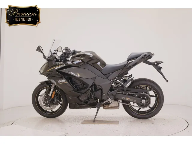 Kawasaki Ninja 1100SX 2026, light brown, фото 2