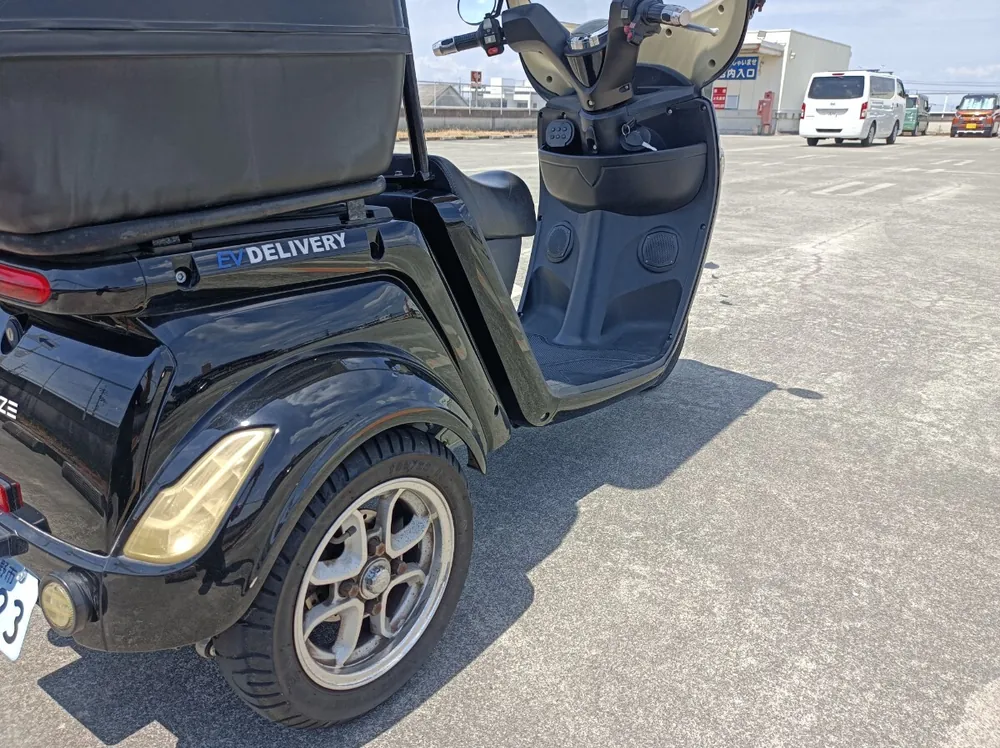 Blaze EV Delivery 2021, фото 10