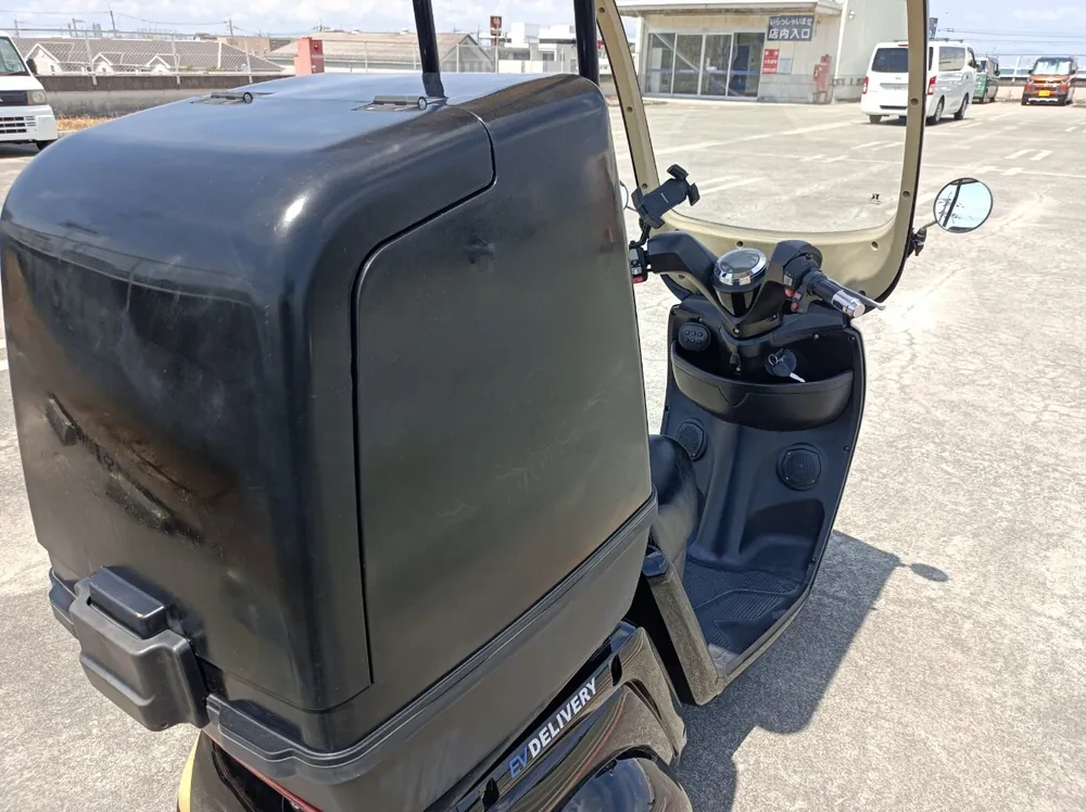 Blaze EV Delivery 2021, фото 2