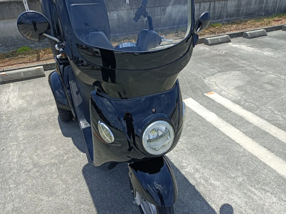 Blaze EV Delivery 2021, фото 3