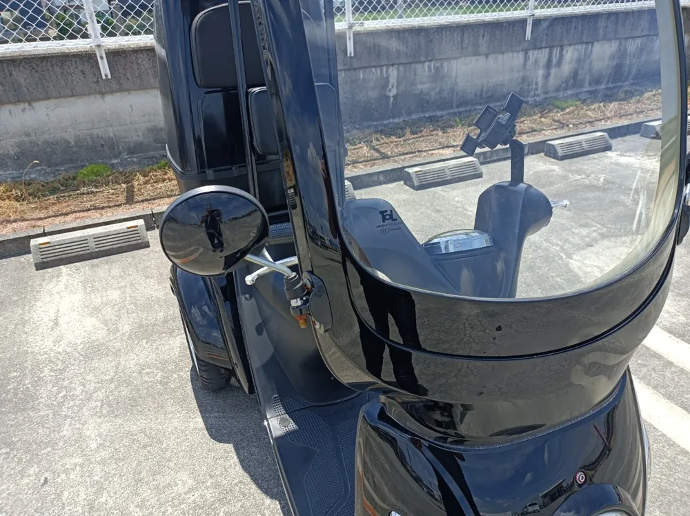 Blaze EV Delivery 2021, фото 4