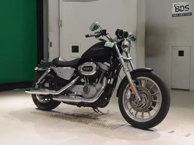 Harley-Davidson XL1200R 2004, matt black, фото 3