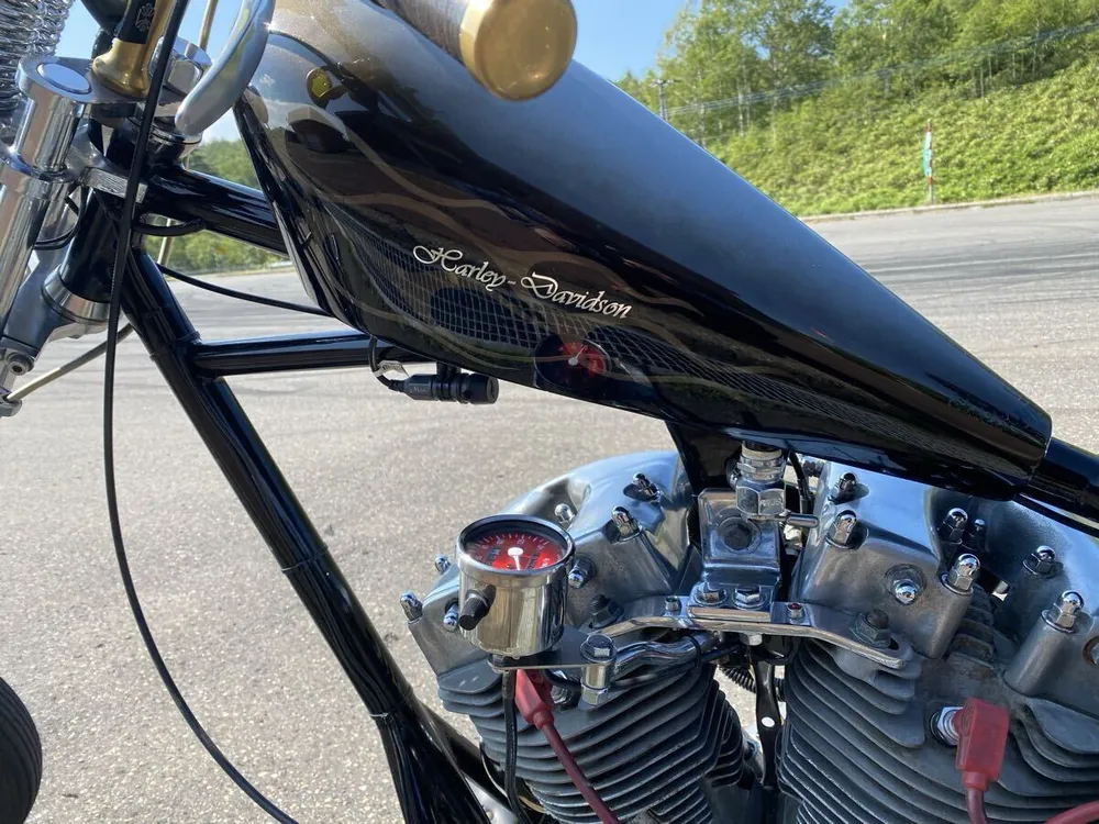 Harley-Davidson FXS1200 1978, фото 8