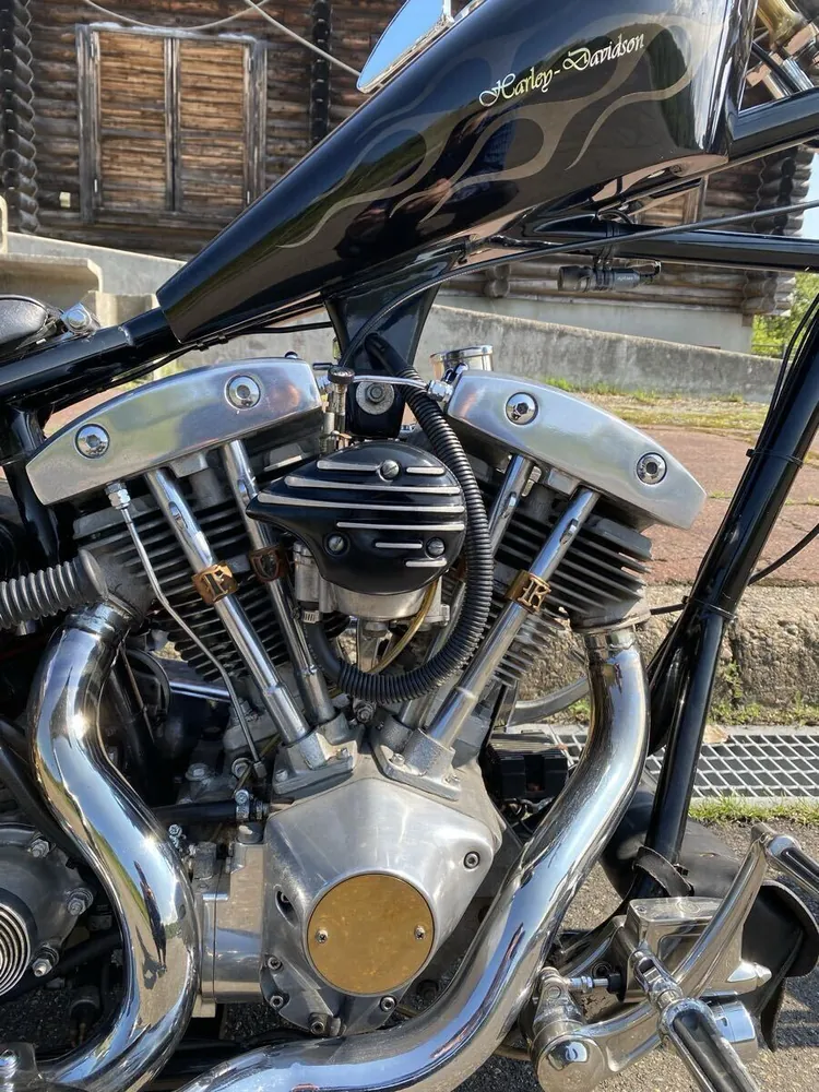 Harley-Davidson FXS1200 1978, фото 9
