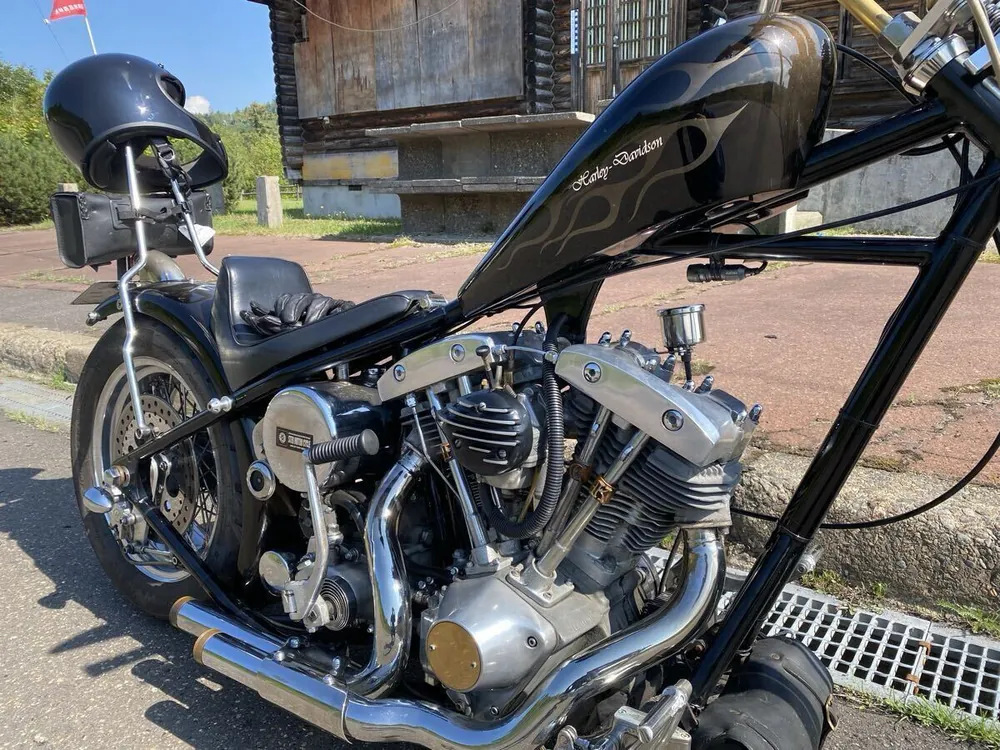 Harley-Davidson FXS1200 1978, фото 6