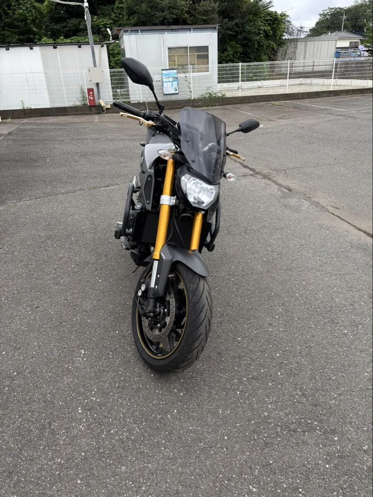 Yamaha MT-09 2014, фото 9