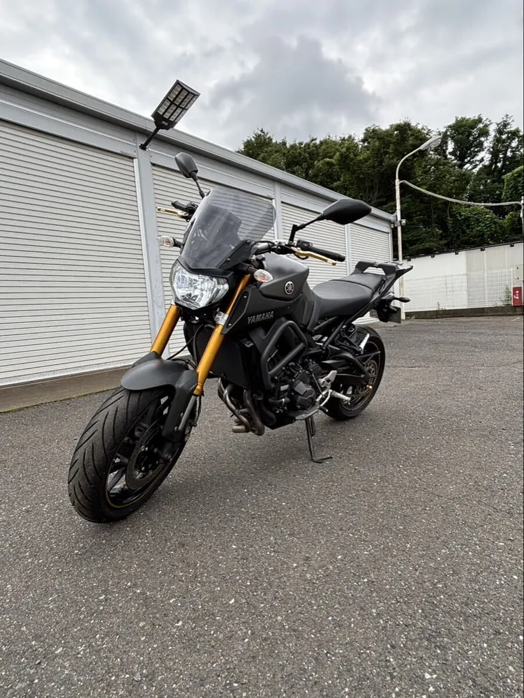 Yamaha MT-09 2014, фото 4