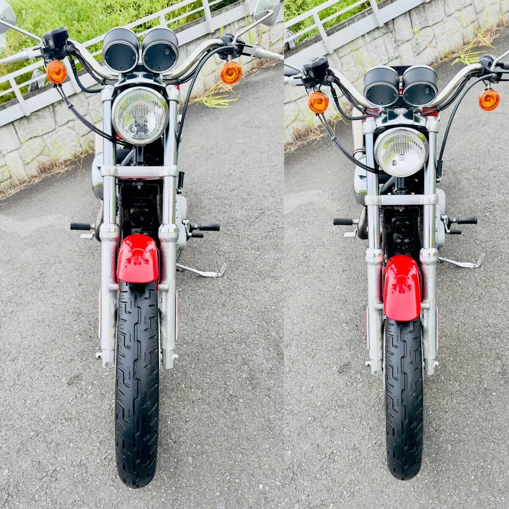 Harley-Davidson XL1200R Sportster Roadster 2004, фото 8