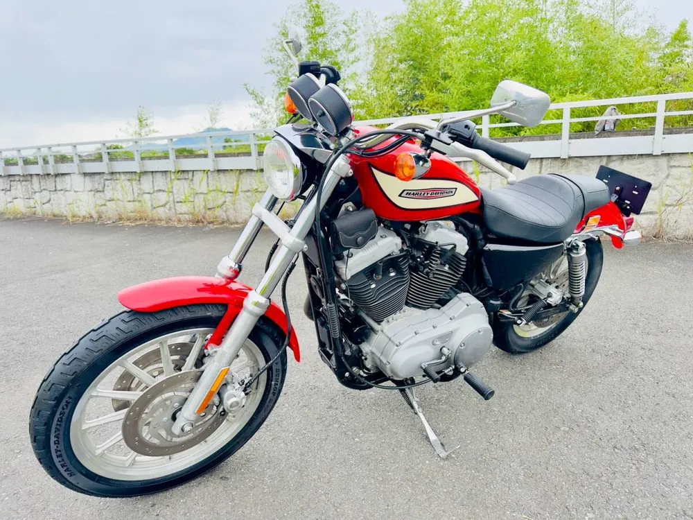 Harley-Davidson XL1200R Sportster Roadster 2004, фото 5