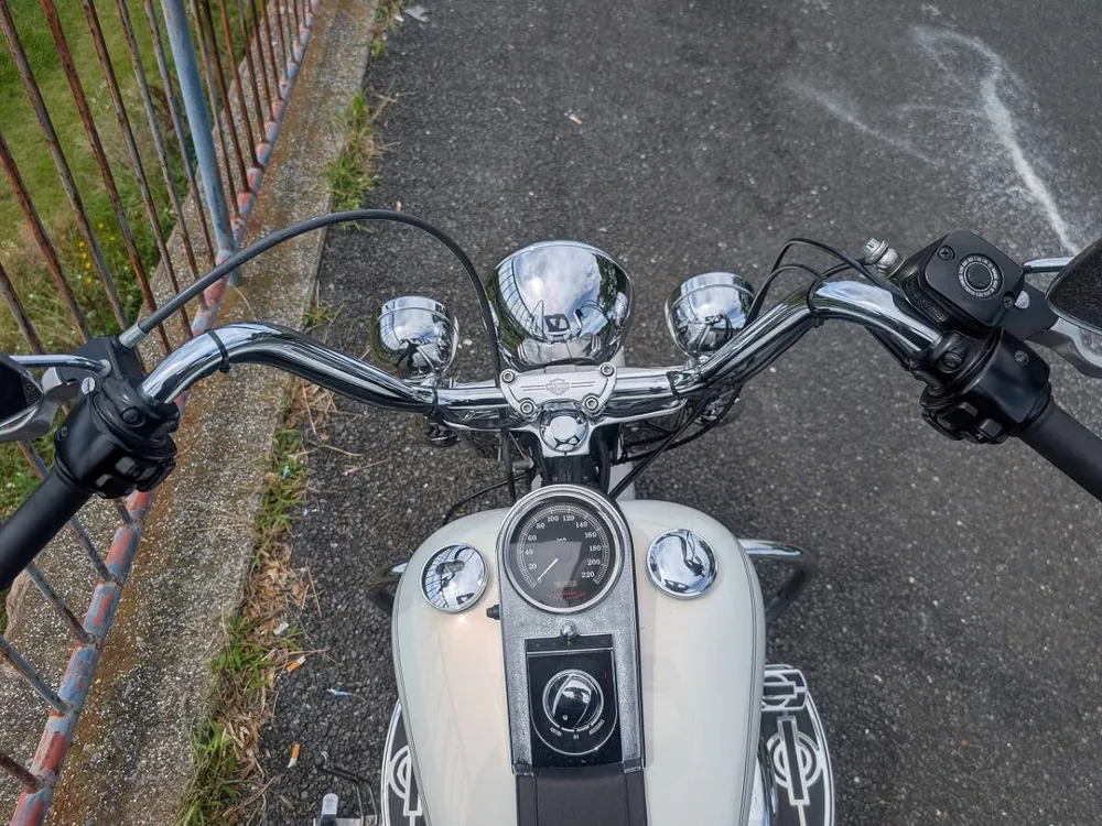 Harley-Davidson Heritage Softail Classic 2001, фото 10