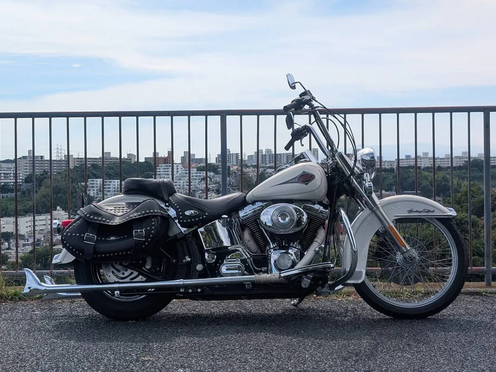 Harley-Davidson Heritage Softail Classic 2001, фото 3
