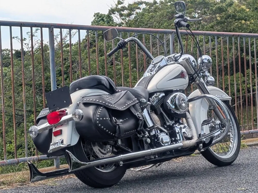 Harley-Davidson Heritage Softail Classic 2001, фото 5