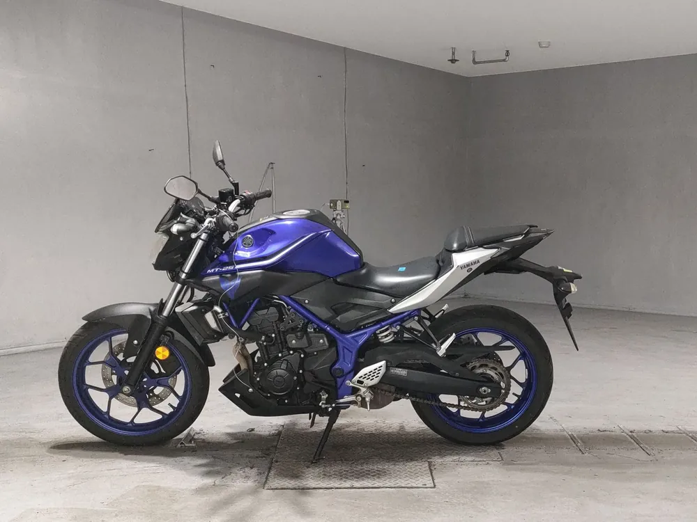 Yamaha YZF-R25, синий, фото 2