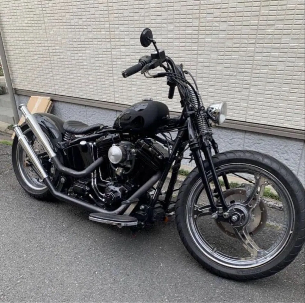 Harley-Davidson Softail Springer 2003, фото 8
