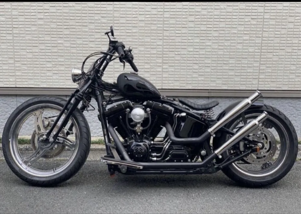 Harley-Davidson Softail Springer 2003, фото 9