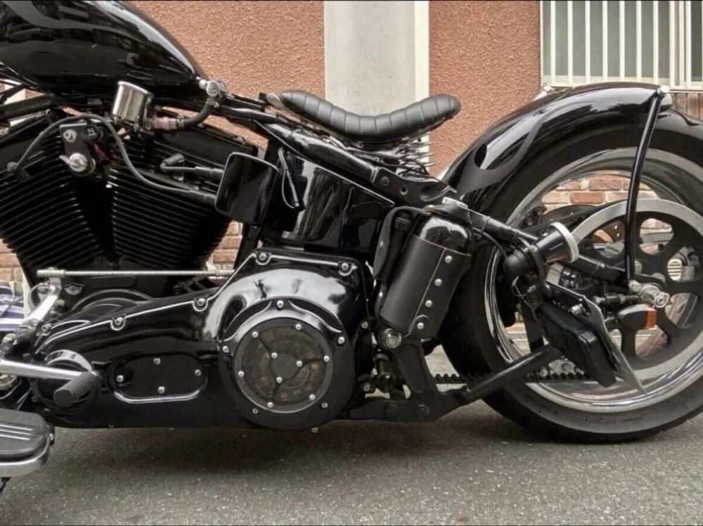Harley-Davidson Softail Springer 2003, фото 3